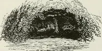 An illustration from Victorian gardens: The art of beautifying suburban home grounds (1870)