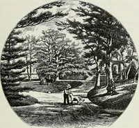An illustration from Victorian gardens: The art of beautifying suburban home grounds (1870)
