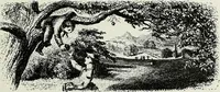 An illustration from Victorian gardens: The art of beautifying suburban home grounds (1870)