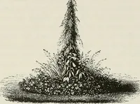 An illustration from Victorian gardens: The art of beautifying suburban home grounds (1870)
