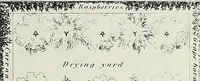 Picture 57 of 84 from Victorian gardens: The art of beautifying suburban home grounds (1870), leaf 280