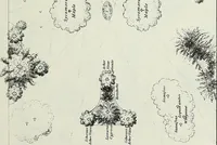 An illustration from Victorian gardens: The art of beautifying suburban home grounds (1870)