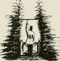 Picture 15 of 84 from Victorian gardens: The art of beautifying suburban home grounds (1870), leaf 55