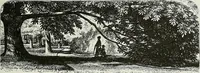 An illustration from Victorian gardens: The art of beautifying suburban home grounds (1870)
