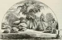 An illustration from Victorian gardens: The art of beautifying suburban home grounds (1870)