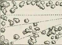 An illustration from Victorian gardens: The art of beautifying suburban home grounds (1870)