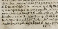 An illustration from Vida apostolica del venerable padre Iosef Cataldino, : vno de los primeros, y mas insignes conquistadores de las dilatadas provincias, y barbaras naciones del Guayrà, valeroso soldado de la Minima y Maxima Compañia de Iesvs. (1664)