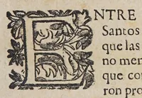 An illustration from Vida apostolica del venerable padre Iosef Cataldino, : vno de los primeros, y mas insignes conquistadores de las dilatadas provincias, y barbaras naciones del Guayrà, valeroso soldado de la Minima y Maxima Compañia de Iesvs. (1664)