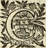 An illustration from Vida de la serenissima Infanta Doña Maria, hija delRey D. Manoel (1675)