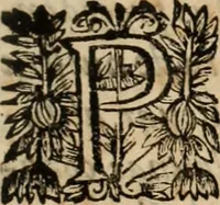 An illustration from Vida de la serenissima Infanta Doña Maria, hija delRey D. Manoel (1675)
