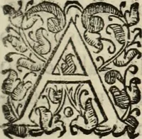 An illustration from Vida de la serenissima Infanta Doña Maria, hija delRey D. Manoel (1675)