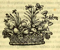 An illustration from Vida do venerauel padre Ioseph de Anchieta da Companhia de Iesu, taumaturgo do Nouo Mundo, na prouincia do Brasil. (1672)