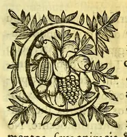 An illustration from Vida do venerauel padre Ioseph de Anchieta da Companhia de Iesu, taumaturgo do Nouo Mundo, na prouincia do Brasil. (1672)
