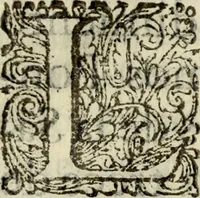 An illustration from Vida exemplar muerte santa, y regocijada de el angelical Hermano Miguel de Omaña, de la Compañia de Jesús, en la Provincia de Nueva-España (1682)
