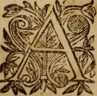 An illustration from Vida, virtudes, trabajos favores y milagros de la Ven. M. sor Maria de Jesus angelopolitana religiosa (1683)
