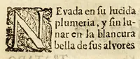 Picture 10 of 14 from Vida, y virtudes heroycas de la madre Maria de Jesus, religiosa professa en el Convento de la Limpia Concepcion de la Virgen Maria N. Señora de la Ciudad de los Angeles. (1676), leaf 328