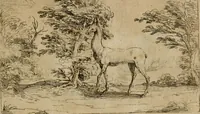 An illustration from Vie de la Mere de Dieu representée par emblesmes = Vita Beatae Mariae Vir. Matris Dei emblematib[us] delineata (1628)