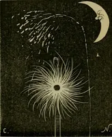Picture 73 of 455 from Vie d'une parisienne (1855), leaf 104