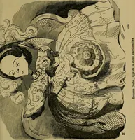 Picture 15 of 455 from Vie d'une parisienne (1855), leaf 22