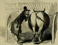 Picture 365 of 455 from Vie d'une parisienne (1855), leaf 464