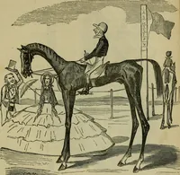 Picture 380 of 455 from Vie d'une parisienne (1855), leaf 482
