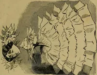 Picture 4 of 455 from Vie d'une parisienne (1855), leaf 8