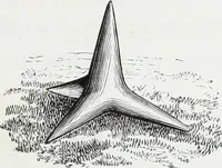 Picture 54 of 393 from Vie militaire et religieuse au moyen âge et à l'époque de la renaissance (1873), leaf 94