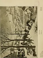An illustration from The Vienna galleries : giving a brief history of the public and private galleries of Vienna ; with a critical description of the paintings therein contained (1912)