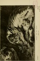 An illustration from The Vienna galleries : giving a brief history of the public and private galleries of Vienna ; with a critical description of the paintings therein contained (1912)