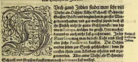An illustration from Vierder Theil der Orie[n]talischen Indien, in welchen erstlich gehandelt wirt, von allerley Thiern, Früchten, Obs, vnd Bäumen, item von allerhand Würtz, Specereyen vnd Materialen, auch von Perlen vnd allerley Edelgesteinen, so in gemelten Indien gefunden werden, wo vnd wie sie wachsen, daselbst geschätzet, gekaufft, vnd genant werden: beschrieben durch Johan[n] Hugen von Lintschotten, vnd andere. : Auch mit schönen Annotationibus gezieret vnd erkläret durch Bernardum Paludanum Med. D. in Enckheusen. Zum andern, die letzte Reise der Holländer in die Ost-Indien, welche aussgefahren im Frühling dess 1598. Jahrs, vnd mit 4. Schiffen widerumb glücklich anheim gelanget, im Monat Julio dess 1599. Jahrs, (1617)