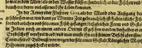 An illustration from Vierder Theil der Orie[n]talischen Indien, in welchen erstlich gehandelt wirt, von allerley Thiern, Früchten, Obs, vnd Bäumen, item von allerhand Würtz, Specereyen vnd Materialen, auch von Perlen vnd allerley Edelgesteinen, so in gemelten Indien gefunden werden, wo vnd wie sie wachsen, daselbst geschätzet, gekaufft, vnd genant werden: beschrieben durch Johan[n] Hugen von Lintschotten, vnd andere. : Auch mit schönen Annotationibus gezieret vnd erkläret durch Bernardum Paludanum Med. D. in Enckheusen. Zum andern, die letzte Reise der Holländer in die Ost-Indien, welche aussgefahren im Frühling dess 1598. Jahrs, vnd mit 4. Schiffen widerumb glücklich anheim gelanget, im Monat Julio dess 1599. Jahrs, (1617)
