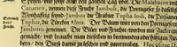 An illustration from Vierder Theil der Orie[n]talischen Indien, in welchen erstlich gehandelt wirt, von allerley Thiern, Früchten, Obs, vnd Bäumen, item von allerhand Würtz, Specereyen vnd Materialen, auch von Perlen vnd allerley Edelgesteinen, so in gemelten Indien gefunden werden, wo vnd wie sie wachsen, daselbst geschätzet, gekaufft, vnd genant werden: beschrieben durch Johan[n] Hugen von Lintschotten, vnd andere. : Auch mit schönen Annotationibus gezieret vnd erkläret durch Bernardum Paludanum Med. D. in Enckheusen. Zum andern, die letzte Reise der Holländer in die Ost-Indien, welche aussgefahren im Frühling dess 1598. Jahrs, vnd mit 4. Schiffen widerumb glücklich anheim gelanget, im Monat Julio dess 1599. Jahrs, (1617)