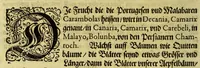 Picture 6 of 27 from Vierder Theil der Orie[n]talischen Indien, in welchen erstlich gehandelt wirt, von allerley Thiern, Früchten, Obs, vnd Bäumen, item von allerhand Würtz, Specereyen vnd Materialen, auch von Perlen vnd allerley Edelgesteinen, so in gemelten Indien gefunden werden, wo vnd wie sie wachsen, daselbst geschätzet, gekaufft, vnd genant werden: beschrieben durch Johan[n] Hugen von Lintschotten, vnd andere. : Auch mit schönen Annotationibus gezieret vnd erkläret durch Bernardum Paludanum Med. D. in Enckheusen. Zum andern, die letzte Reise der Holländer in die Ost-Indien, welche aussgefahren im Frühling dess 1598. Jahrs, vnd mit 4. Schiffen widerumb glücklich anheim gelanget, im Monat Julio dess 1599. Jahrs, (1617), leaf 36