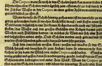 An illustration from Vierder Theil der Orie[n]talischen Indien, in welchen erstlich gehandelt wirt, von allerley Thiern, Früchten, Obs, vnd Bäumen, item von allerhand Würtz, Specereyen vnd Materialen, auch von Perlen vnd allerley Edelgesteinen, so in gemelten Indien gefunden werden, wo vnd wie sie wachsen, daselbst geschätzet, gekaufft, vnd genant werden: beschrieben durch Johan[n] Hugen von Lintschotten, vnd andere. : Auch mit schönen Annotationibus gezieret vnd erkläret durch Bernardum Paludanum Med. D. in Enckheusen. Zum andern, die letzte Reise der Holländer in die Ost-Indien, welche aussgefahren im Frühling dess 1598. Jahrs, vnd mit 4. Schiffen widerumb glücklich anheim gelanget, im Monat Julio dess 1599. Jahrs, (1617)