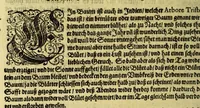 An illustration from Vierder Theil der Orie[n]talischen Indien, in welchen erstlich gehandelt wirt, von allerley Thiern, Früchten, Obs, vnd Bäumen, item von allerhand Würtz, Specereyen vnd Materialen, auch von Perlen vnd allerley Edelgesteinen, so in gemelten Indien gefunden werden, wo vnd wie sie wachsen, daselbst geschätzet, gekaufft, vnd genant werden: beschrieben durch Johan[n] Hugen von Lintschotten, vnd andere. : Auch mit schönen Annotationibus gezieret vnd erkläret durch Bernardum Paludanum Med. D. in Enckheusen. Zum andern, die letzte Reise der Holländer in die Ost-Indien, welche aussgefahren im Frühling dess 1598. Jahrs, vnd mit 4. Schiffen widerumb glücklich anheim gelanget, im Monat Julio dess 1599. Jahrs, (1617)