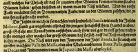 An illustration from Vierder Theil der Orie[n]talischen Indien, in welchen erstlich gehandelt wirt, von allerley Thiern, Früchten, Obs, vnd Bäumen, item von allerhand Würtz, Specereyen vnd Materialen, auch von Perlen vnd allerley Edelgesteinen, so in gemelten Indien gefunden werden, wo vnd wie sie wachsen, daselbst geschätzet, gekaufft, vnd genant werden: beschrieben durch Johan[n] Hugen von Lintschotten, vnd andere. : Auch mit schönen Annotationibus gezieret vnd erkläret durch Bernardum Paludanum Med. D. in Enckheusen. Zum andern, die letzte Reise der Holländer in die Ost-Indien, welche aussgefahren im Frühling dess 1598. Jahrs, vnd mit 4. Schiffen widerumb glücklich anheim gelanget, im Monat Julio dess 1599. Jahrs, (1617)