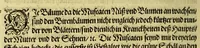 An illustration from Vierder Theil der Orie[n]talischen Indien, in welchen erstlich gehandelt wirt, von allerley Thiern, Früchten, Obs, vnd Bäumen, item von allerhand Würtz, Specereyen vnd Materialen, auch von Perlen vnd allerley Edelgesteinen, so in gemelten Indien gefunden werden, wo vnd wie sie wachsen, daselbst geschätzet, gekaufft, vnd genant werden: beschrieben durch Johan[n] Hugen von Lintschotten, vnd andere. : Auch mit schönen Annotationibus gezieret vnd erkläret durch Bernardum Paludanum Med. D. in Enckheusen. Zum andern, die letzte Reise der Holländer in die Ost-Indien, welche aussgefahren im Frühling dess 1598. Jahrs, vnd mit 4. Schiffen widerumb glücklich anheim gelanget, im Monat Julio dess 1599. Jahrs, (1617)