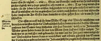 Picture 16 of 27 from Vierder Theil der Orie[n]talischen Indien, in welchen erstlich gehandelt wirt, von allerley Thiern, Früchten, Obs, vnd Bäumen, item von allerhand Würtz, Specereyen vnd Materialen, auch von Perlen vnd allerley Edelgesteinen, so in gemelten Indien gefunden werden, wo vnd wie sie wachsen, daselbst geschätzet, gekaufft, vnd genant werden: beschrieben durch Johan[n] Hugen von Lintschotten, vnd andere. : Auch mit schönen Annotationibus gezieret vnd erkläret durch Bernardum Paludanum Med. D. in Enckheusen. Zum andern, die letzte Reise der Holländer in die Ost-Indien, welche aussgefahren im Frühling dess 1598. Jahrs, vnd mit 4. Schiffen widerumb glücklich anheim gelanget, im Monat Julio dess 1599. Jahrs, (1617), leaf 84