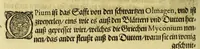 An illustration from Vierder Theil der Orie[n]talischen Indien, in welchen erstlich gehandelt wirt, von allerley Thiern, Früchten, Obs, vnd Bäumen, item von allerhand Würtz, Specereyen vnd Materialen, auch von Perlen vnd allerley Edelgesteinen, so in gemelten Indien gefunden werden, wo vnd wie sie wachsen, daselbst geschätzet, gekaufft, vnd genant werden: beschrieben durch Johan[n] Hugen von Lintschotten, vnd andere. : Auch mit schönen Annotationibus gezieret vnd erkläret durch Bernardum Paludanum Med. D. in Enckheusen. Zum andern, die letzte Reise der Holländer in die Ost-Indien, welche aussgefahren im Frühling dess 1598. Jahrs, vnd mit 4. Schiffen widerumb glücklich anheim gelanget, im Monat Julio dess 1599. Jahrs, (1617)