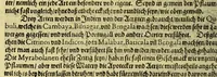 An illustration from Vierder Theil der Orie[n]talischen Indien, in welchen erstlich gehandelt wirt, von allerley Thiern, Früchten, Obs, vnd Bäumen, item von allerhand Würtz, Specereyen vnd Materialen, auch von Perlen vnd allerley Edelgesteinen, so in gemelten Indien gefunden werden, wo vnd wie sie wachsen, daselbst geschätzet, gekaufft, vnd genant werden: beschrieben durch Johan[n] Hugen von Lintschotten, vnd andere. : Auch mit schönen Annotationibus gezieret vnd erkläret durch Bernardum Paludanum Med. D. in Enckheusen. Zum andern, die letzte Reise der Holländer in die Ost-Indien, welche aussgefahren im Frühling dess 1598. Jahrs, vnd mit 4. Schiffen widerumb glücklich anheim gelanget, im Monat Julio dess 1599. Jahrs, (1617)