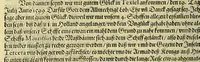 An illustration from Vierder Theil der Orientalischen Indien, in welchem erstlich gehandelt wirdt, von allerley Thieren, Früchten, Obs, vn[d] Bäumen, item von allerhand Würtz, Specereyen vnd Materialen, auch von Perlen vnd allerley Edelgesteinen, so in gemeldten Indien gefunden werden, wo vnd wie sie wachsen, auch wie sie daselbt geschätzet, gekaufft, vnd genannt werden, beschrieben durch Johann Hugen von Lintschotten, vnd andere. : Auch mit schönen Annotationibus gezieret vnd erkläret durch Bernardum Paludanum Medicinae D. in Enckheusen. Zum andern, die letzte Reise der Holländer in die Ost-Indien, welche aussgefahren im Frühling dess 1598. Jahrs. vnd mit 4. Schiffen wiederumb glücklich anheim gelanget, im Monat Julio dess 1599. Jahrs, (1600)
