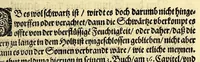 An illustration from Vierder Theil der Orientalischen Indien, in welchem erstlich gehandelt wirdt, von allerley Thieren, Früchten, Obs, vn[d] Bäumen, item von allerhand Würtz, Specereyen vnd Materialen, auch von Perlen vnd allerley Edelgesteinen, so in gemeldten Indien gefunden werden, wo vnd wie sie wachsen, auch wie sie daselbt geschätzet, gekaufft, vnd genannt werden, beschrieben durch Johann Hugen von Lintschotten, vnd andere. : Auch mit schönen Annotationibus gezieret vnd erkläret durch Bernardum Paludanum Medicinae D. in Enckheusen. Zum andern, die letzte Reise der Holländer in die Ost-Indien, welche aussgefahren im Frühling dess 1598. Jahrs. vnd mit 4. Schiffen wiederumb glücklich anheim gelanget, im Monat Julio dess 1599. Jahrs, (1600)