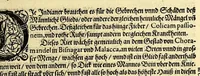 An illustration from Vierder Theil der Orientalischen Indien, in welchem erstlich gehandelt wirdt, von allerley Thieren, Früchten, Obs, vn[d] Bäumen, item von allerhand Würtz, Specereyen vnd Materialen, auch von Perlen vnd allerley Edelgesteinen, so in gemeldten Indien gefunden werden, wo vnd wie sie wachsen, auch wie sie daselbt geschätzet, gekaufft, vnd genannt werden, beschrieben durch Johann Hugen von Lintschotten, vnd andere. : Auch mit schönen Annotationibus gezieret vnd erkläret durch Bernardum Paludanum Medicinae D. in Enckheusen. Zum andern, die letzte Reise der Holländer in die Ost-Indien, welche aussgefahren im Frühling dess 1598. Jahrs. vnd mit 4. Schiffen wiederumb glücklich anheim gelanget, im Monat Julio dess 1599. Jahrs, (1600)