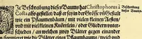 An illustration from Vierder Theil der Orientalischen Indien, in welchem erstlich gehandelt wirdt, von allerley Thieren, Früchten, Obs, vn[d] Bäumen, item von allerhand Würtz, Specereyen vnd Materialen, auch von Perlen vnd allerley Edelgesteinen, so in gemeldten Indien gefunden werden, wo vnd wie sie wachsen, auch wie sie daselbt geschätzet, gekaufft, vnd genannt werden, beschrieben durch Johann Hugen von Lintschotten, vnd andere. : Auch mit schönen Annotationibus gezieret vnd erkläret durch Bernardum Paludanum Medicinae D. in Enckheusen. Zum andern, die letzte Reise der Holländer in die Ost-Indien, welche aussgefahren im Frühling dess 1598. Jahrs. vnd mit 4. Schiffen wiederumb glücklich anheim gelanget, im Monat Julio dess 1599. Jahrs, (1600)