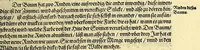 Picture 16 of 30 from Vierder Theil der Orientalischen Indien, in welchem erstlich gehandelt wirdt, von allerley Thieren, Früchten, Obs, vn[d] Bäumen, item von allerhand Würtz, Specereyen vnd Materialen, auch von Perlen vnd allerley Edelgesteinen, so in gemeldten Indien gefunden werden, wo vnd wie sie wachsen, auch wie sie daselbt geschätzet, gekaufft, vnd genannt werden, beschrieben durch Johann Hugen von Lintschotten, vnd andere. : Auch mit schönen Annotationibus gezieret vnd erkläret durch Bernardum Paludanum Medicinae D. in Enckheusen. Zum andern, die letzte Reise der Holländer in die Ost-Indien, welche aussgefahren im Frühling dess 1598. Jahrs. vnd mit 4. Schiffen wiederumb glücklich anheim gelanget, im Monat Julio dess 1599. Jahrs, (1600), leaf 63