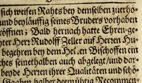 An illustration from Vier loblicher Statt Zürich verbürgerter, Reissbeschreibüngen: : geschehen in 1. Das Gelobte-Land. 2. Die Insul Jamaica. 3. Die Caribes Inslen, und Neüw Engel Land, in America. 4. Die Landtschaft Fetü in Africa (1677)