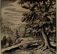 An illustration from Vier tractätlein Fr. Basilii Valentini benedicter ordens von dem grossen stäin der vralten weysen maister, vnd artzneyen menschlicher gesundheyt : deren er in seinen andern schrifften gedencket, aber vor diesem niemahlen an tag kommen seind, alss nemblich seine : 1. Handgriffe vber die bereitung des grossen steins : 2. Handgriffe wie er seine artzneyen gemacht hat : 3. Schlussreden vom sulphure, victriolo, vnnd magnete : 4. Supplementum oder zugabe (1625)