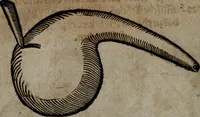 An illustration from Vier tractätlein Fr. Basilii Valentini benedicter ordens von dem grossen stäin der vralten weysen maister, vnd artzneyen menschlicher gesundheyt : deren er in seinen andern schrifften gedencket, aber vor diesem niemahlen an tag kommen seind, alss nemblich seine : 1. Handgriffe vber die bereitung des grossen steins : 2. Handgriffe wie er seine artzneyen gemacht hat : 3. Schlussreden vom sulphure, victriolo, vnnd magnete : 4. Supplementum oder zugabe (1625)