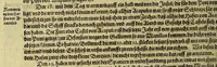 An illustration from Vierzehender Theil Americanischer Historien, : inhaltend, erstlich, warhafftige Beschreibung etlicher West-Indianischer Landen in dem Theil Americae gegen Mitternacht hinder Nova Hispania gelegen, alss New Mexico, Cibola, Cinaloa, Quiuira, vnd anderer, deren bissher in vnserm West-Indianischen Werck Theils gar nicht, theils sehr wenig gedacht worden, sampt Denckwürdigen Geschichten vnd Wunderwercken der Natur in Jucatan, Guatimala, Fonduras, vnd Panama, wie auch vom Zustandt etlicher Englischen Colonien, wie sich die in lauffendem 1630. Jahr befinden. Zum andern, eine Schiffart der Holländer vnder dem Admiral Jacob Eremiten vmb die gantze Welt, vnd was ihm auff dieser sehr langen vnd gefährlichen Reyse begegnet, alles in Form eines Jurnals oder Tagregisters fleissig verzeichnet. Zum dritten, historische Erzehlung, welcher gestalt die sehr reiche Spanische Silberflotta durch Peter Hein, General der Holländischen Armada in dem Hafen Matanza der Insul Cuba im September dess Jahrs 1628. ertapt vnd heim gebracht worden. Zum Vierdten, was massen die Statt Olinda de Fernambucco in Brasilien, sampt dem Meerport vnd dabey Ligenden Castellan, durch die Holländer vnder dem General Heinrich Cornelis Lunck erobert worden, im Monat Februario dess Jahrs 1630. Alles mit zugehörigen Tafeln vnd Kupfferstücken gezieret, verlegt vnd an Tag gegeben (1630)