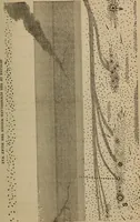 Picture 5 of 6 from Views of our heavenly home : a sequel to a Stellar key to the summer-land (1878), leaf 176